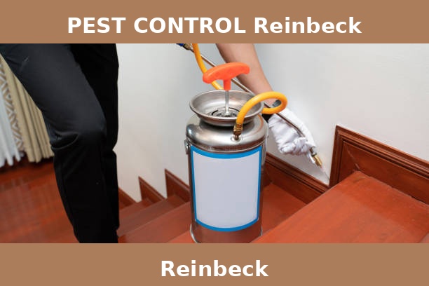 PEST CONTROL Reinbeck